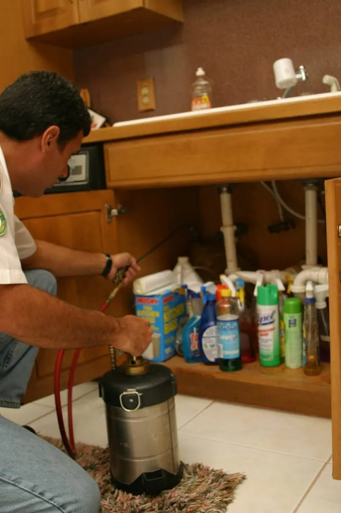 Custom landscaping services for outdoor upgrades across Fort Lauderdale, FL - AAA Pest Control