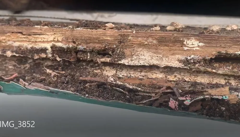 Top-rated landscaping services for year-round maintenance across Fort Lauderdale, FL - AAA Pest Control