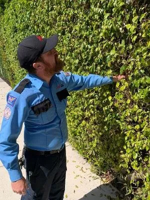 Custom lawn mowing service in Fort Lauderdale, FL by AAA Pest Control