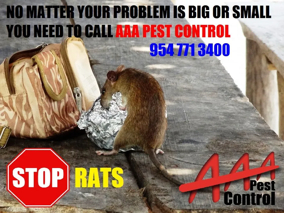 Top-rated landscape installation in Fort Lauderdale, FL by AAA Pest Control