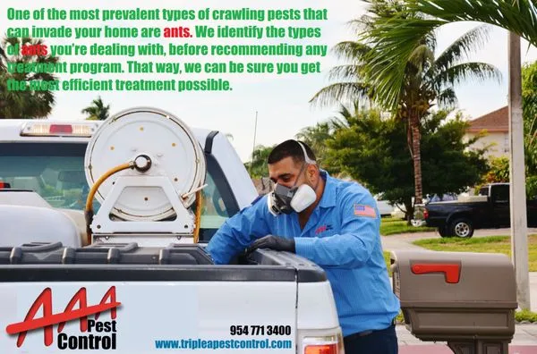 AAA Pest Control Logo