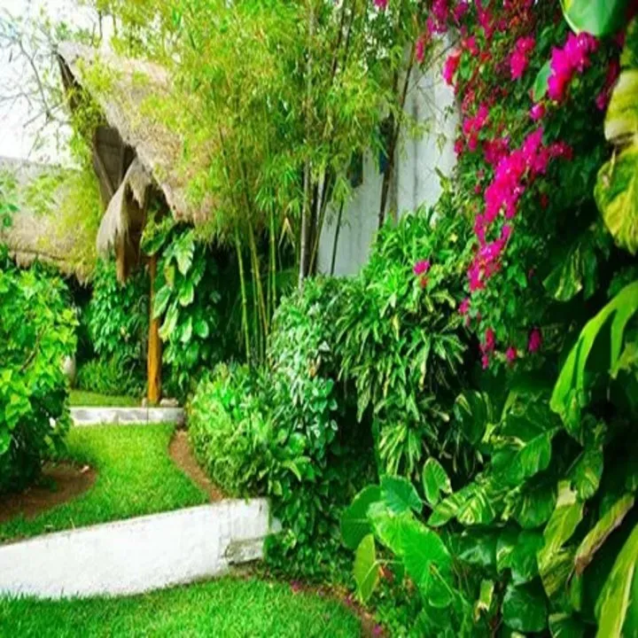 Top-rated garden landscaping experts serving Honolulu, HI - AAA Plantscapes Hawaii