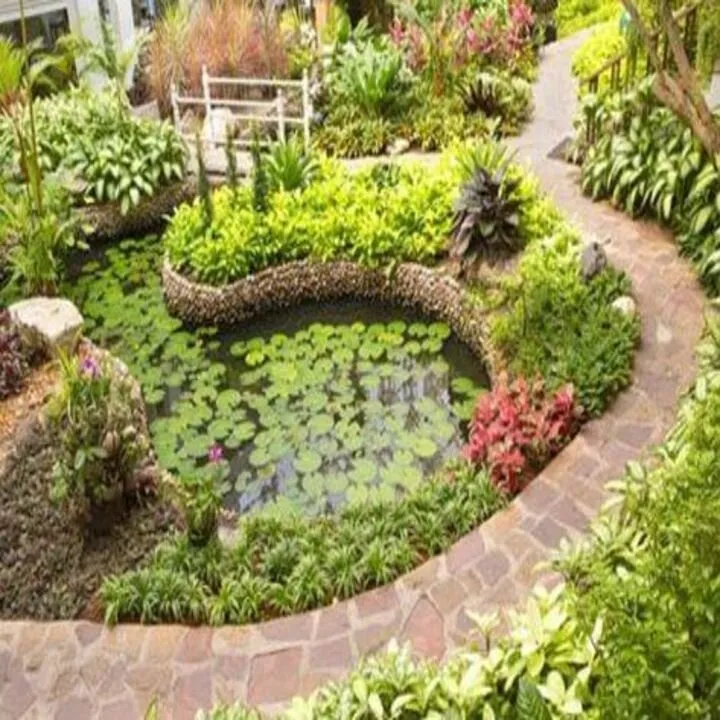 Professional residential landscaping experts serving Honolulu, HI - AAA Plantscapes Hawaii
