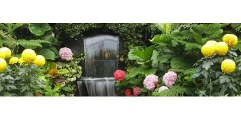 Affordable landscape installation in Honolulu, HI by AAA Plantscapes Hawaii