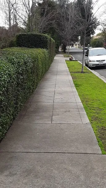 Top-rated lawn care service for homes across Chico, CA - AAA Plus Services