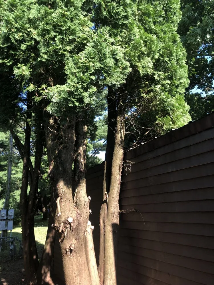 Trusted landscape installation with custom design in Rockford, IL by AAA Power Washing and General Maintenance