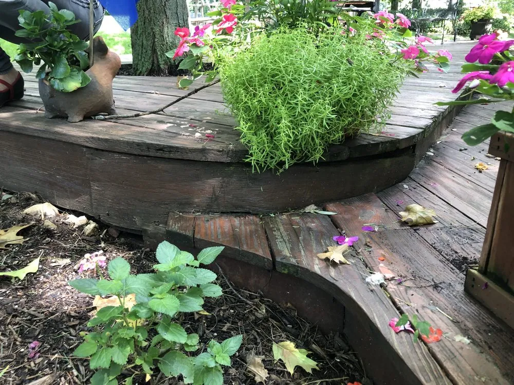 Expert landscaping services experts serving Rockford, IL - AAA Power Washing and General Maintenance