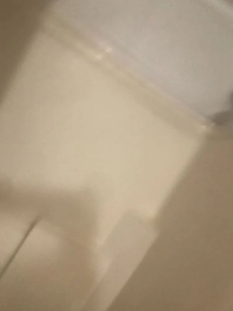 Affordable yard maintenance in Rockford, IL - AAA Power Washing and General Maintenance