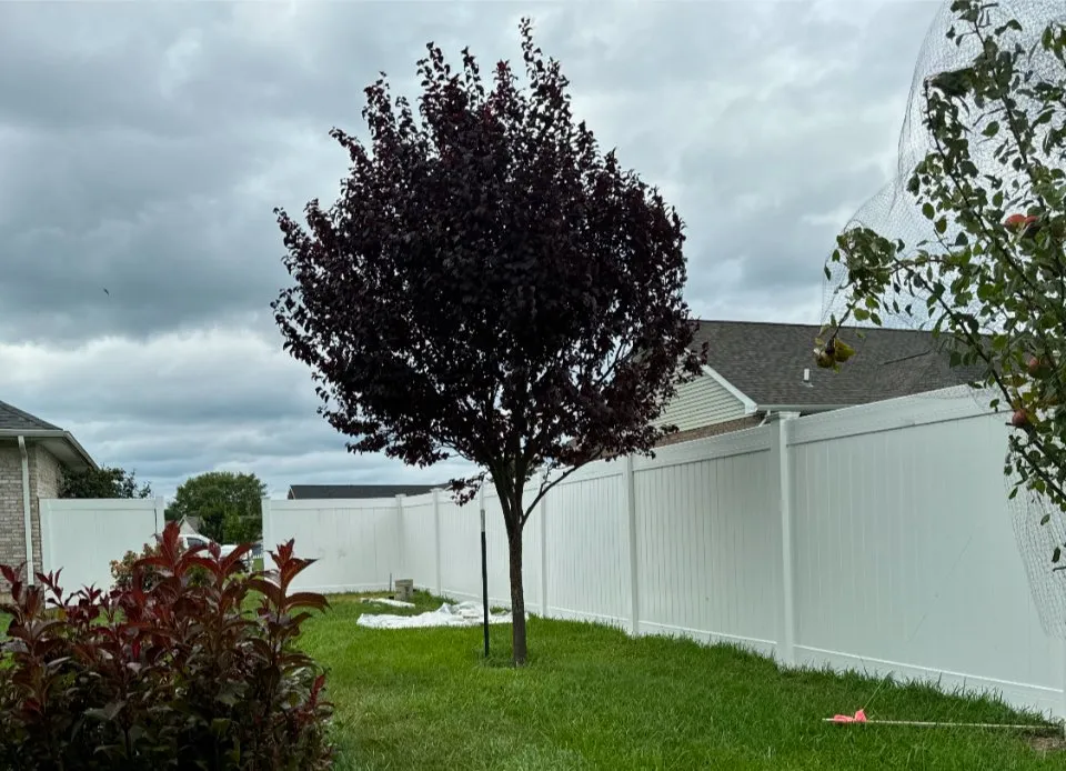 Trusted landscape design in Bellbrook, OH - AAA Precision Landscaping