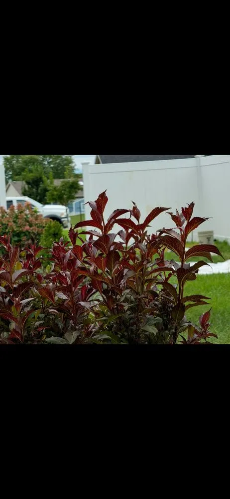 Expert outdoor landscaping experts serving Bellbrook, OH - AAA Precision Landscaping