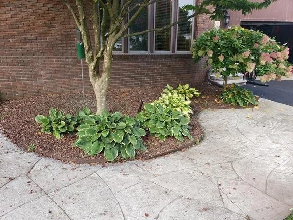 Local garden landscaping for year-round maintenance across Johnston, RI - Aaa Professional Lawn Care