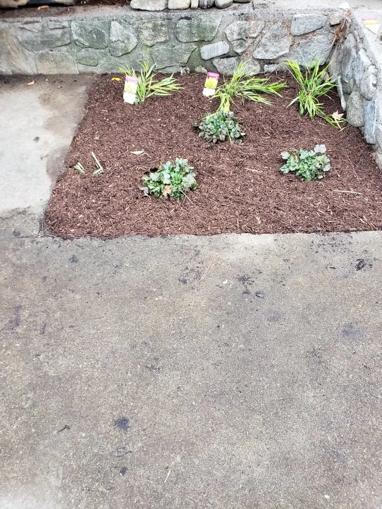 Affordable yard cleanup service for residential properties in Johnston, RI by Aaa Professional Lawn Care