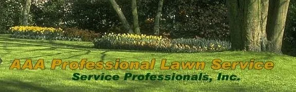 Local yard cleanup service experts serving Cedar Creek, NE - AAA Professional Lawn Service
