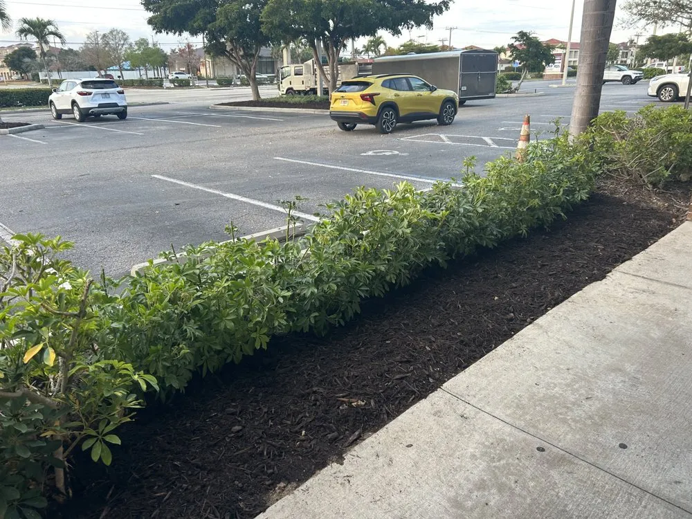 Local landscape design near you in Fort Myers, FL by AAA Property Maintenance