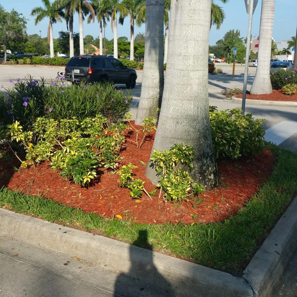 Reliable lawn mowing service in Fort Myers, FL - AAA Property Maintenance