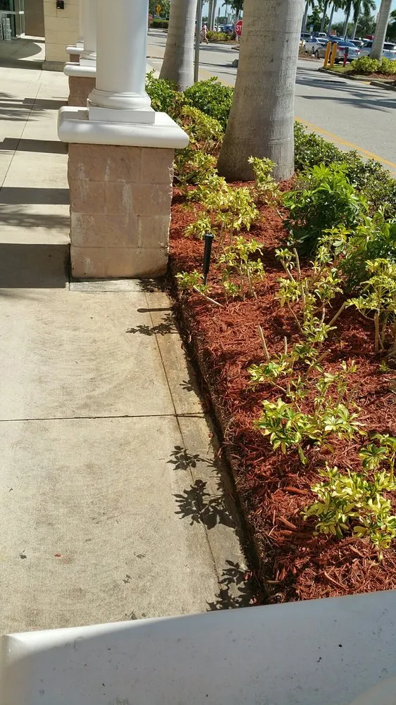 Local yard maintenance for beautiful yards across Fort Myers, FL - AAA Property Maintenance