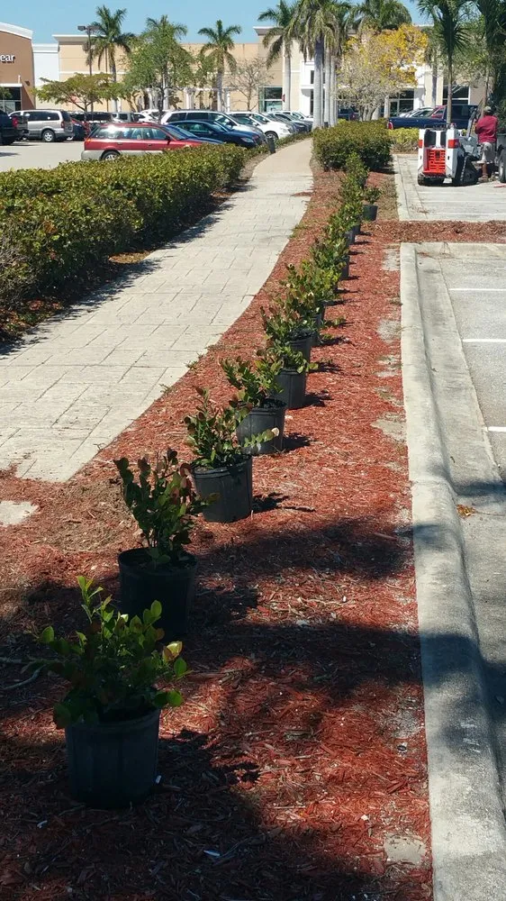 Local residential landscaping in Fort Myers, FL - AAA Property Maintenance
