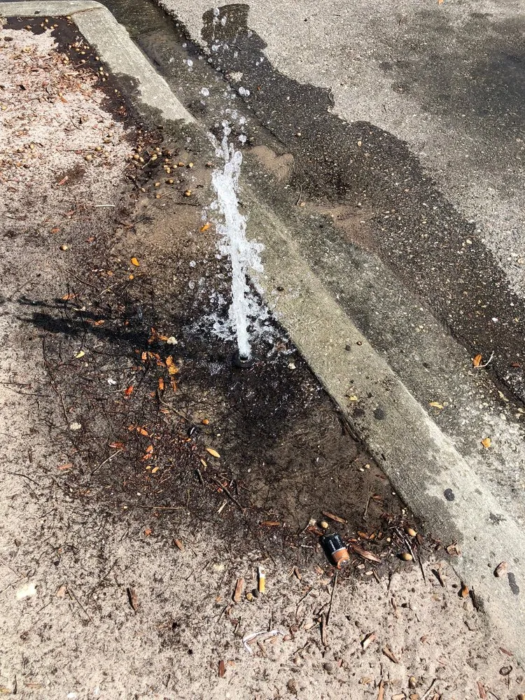 Expert landscape design for outdoor upgrades in Fort Myers, FL by AAA Property Maintenance