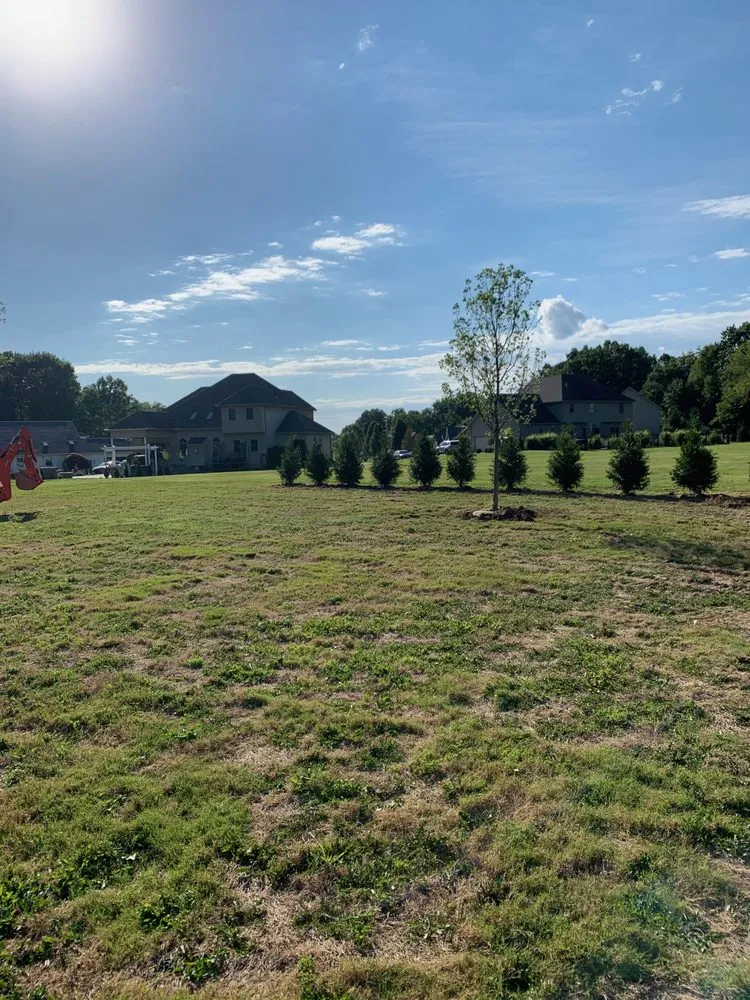 Expert yard maintenance experts serving Hermitage, PA - AAA Property Services