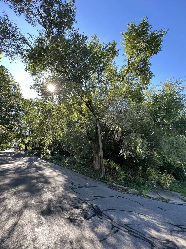 Custom landscape design in Hermitage, PA by AAA Property Services