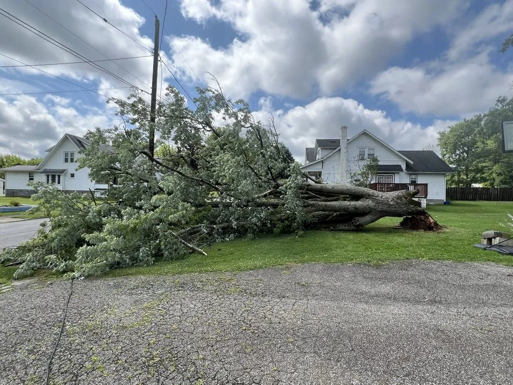 Custom garden landscaping experts serving Hermitage, PA - AAA Property Services