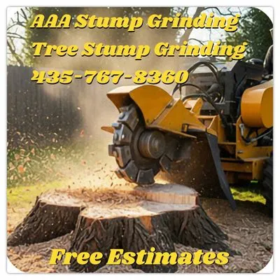 AAA Stump Grinding
