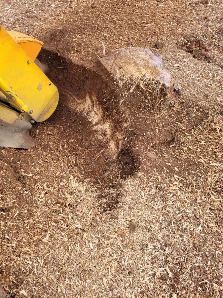 Affordable outdoor landscaping for beautiful yards in New Britain, CT by AAA Stump Grinding
