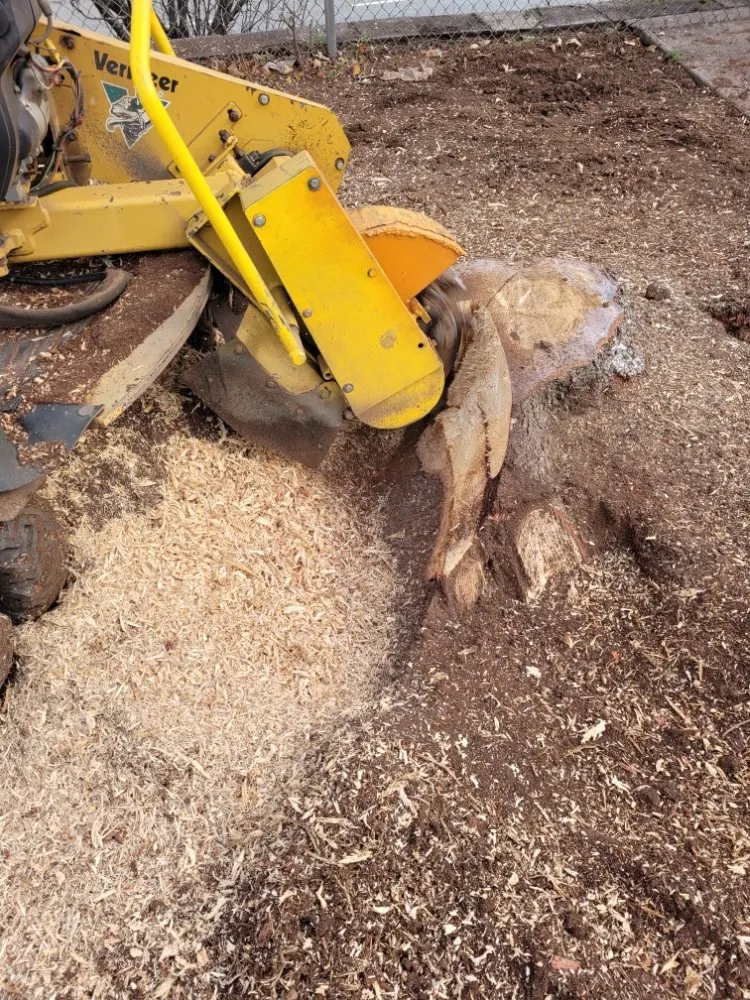 Reliable garden landscaping with custom design in New Britain, CT by AAA Stump Grinding