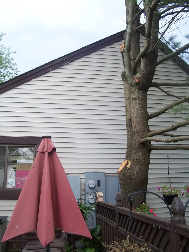 Local lawn mowing service for beautiful yards in Deer Park, NY by AAA Tree & Landscaping of Long Island