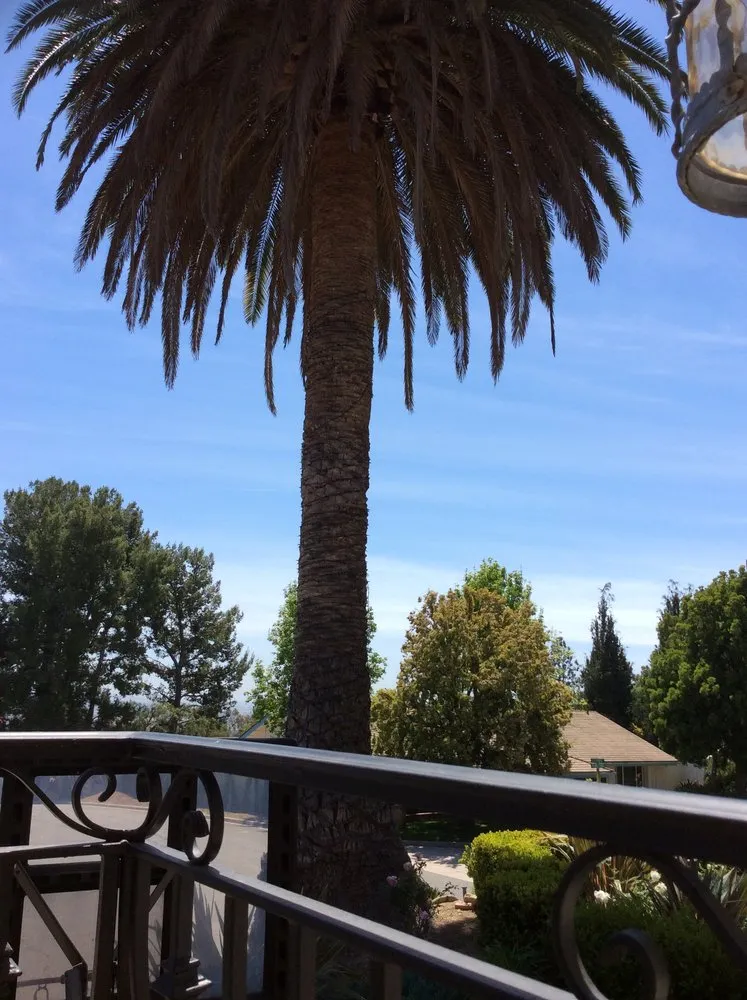 Local landscape installation experts serving Tustin, CA - Aaa Tree Care