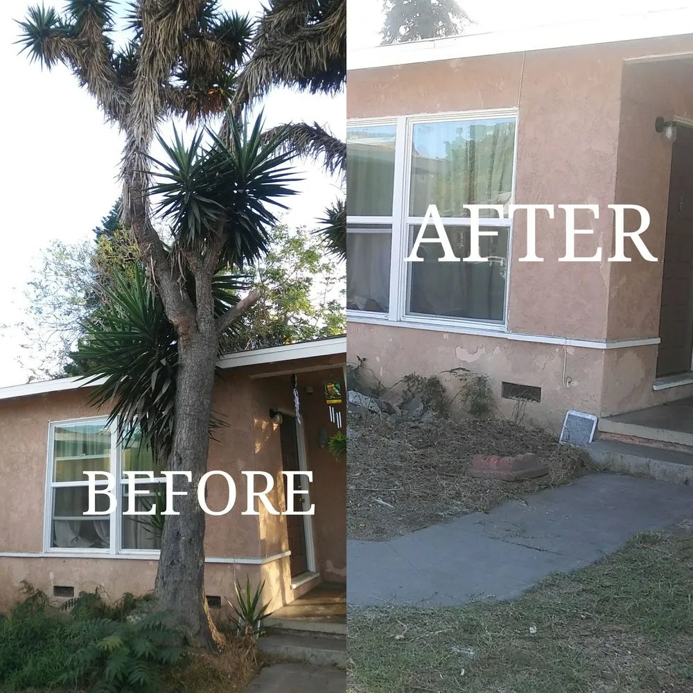 Local outdoor landscaping experts serving Tustin, CA - Aaa Tree Care
