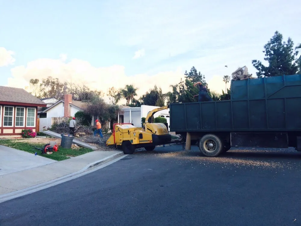 Trusted landscaping services for residential properties in Tustin, CA by Aaa Tree Care