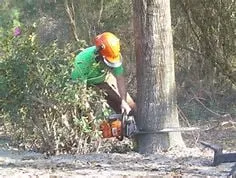 Professional lawn mowing service experts serving Tustin, CA - Aaa Tree Care