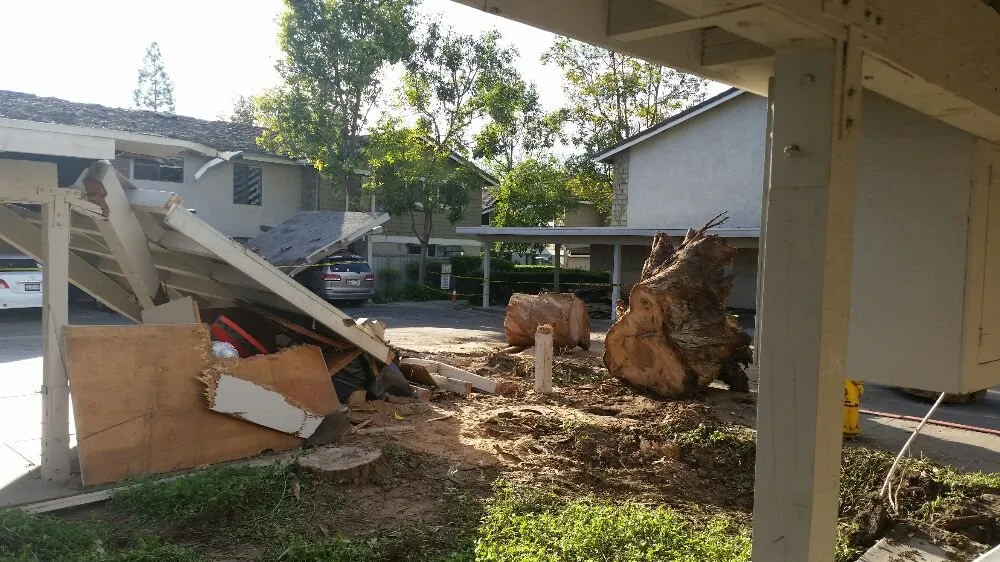 Local garden landscaping for year-round maintenance across Tustin, CA - Aaa Tree Care