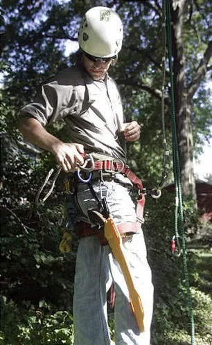 Local outdoor landscaping for homes in Tustin, CA by Aaa Tree Care