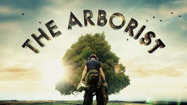 Expert landscape installation for outdoor upgrades in Tustin, CA by Aaa Tree Care