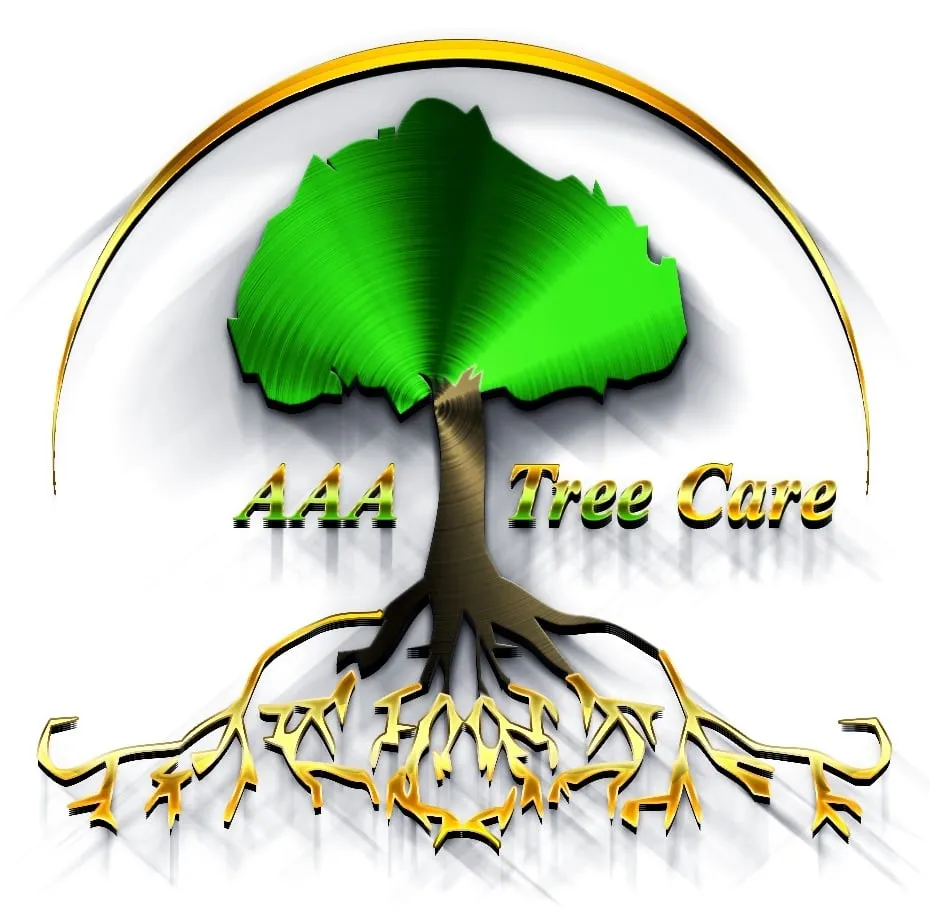 Reliable yard cleanup service in Tustin, CA by Aaa Tree Care