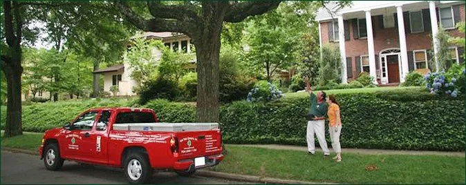 Professional yard cleanup service in Charlotte, NC by AAA Tree Experts
