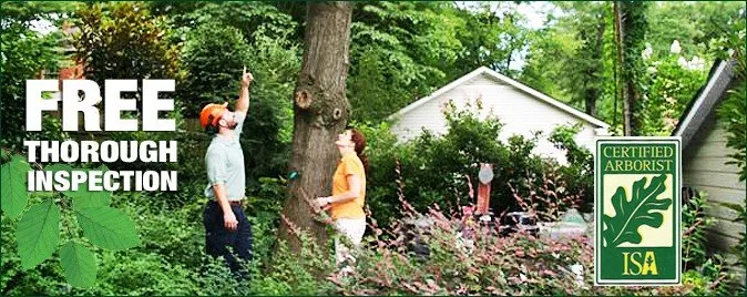 Expert landscaping services experts serving Charlotte, NC - AAA Tree Experts