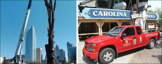 Expert lawn mowing service near you in Charlotte, NC by AAA Tree Experts