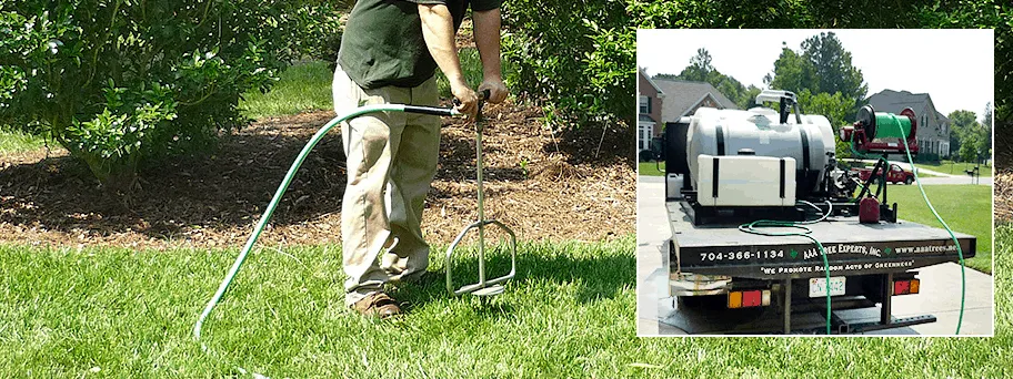 Custom garden landscaping experts serving Charlotte, NC - AAA Tree Experts