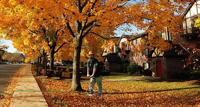 Reliable yard maintenance in Charlotte, NC by AAA Tree Experts