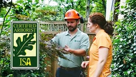 Trusted lawn care service near you in Charlotte, NC by AAA Tree Experts