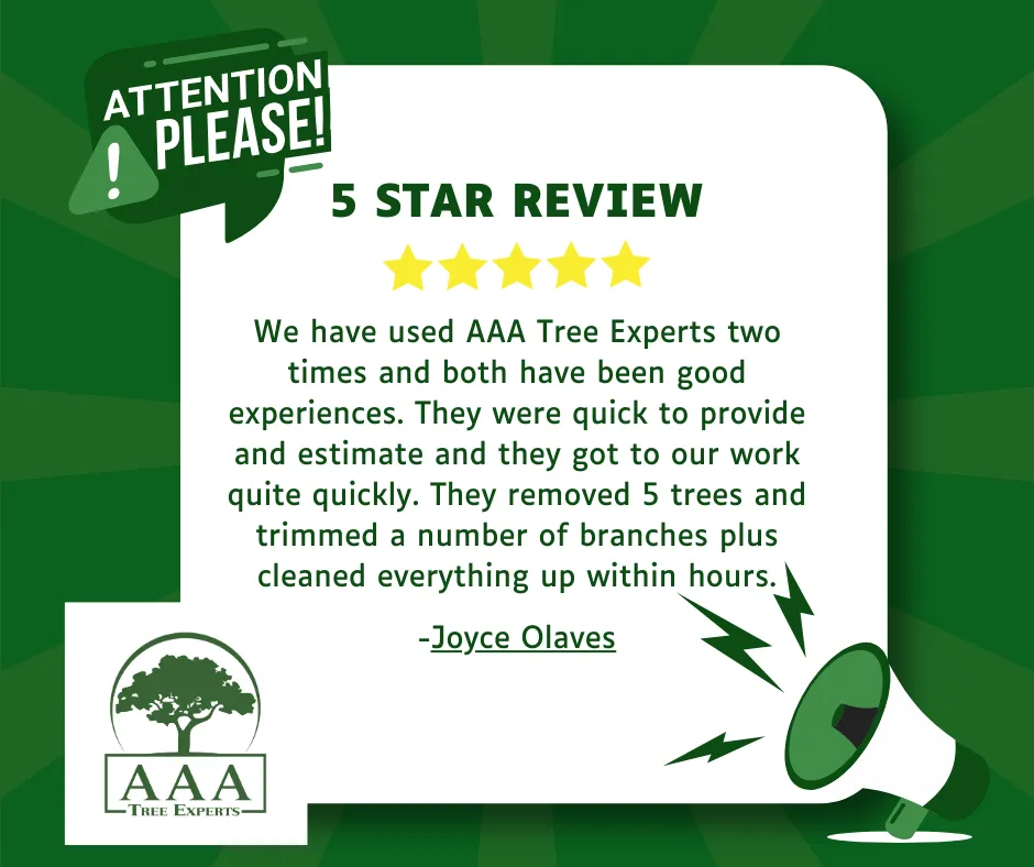Trusted garden landscaping for beautiful yards in Tallahassee, FL by AAA Tree Experts