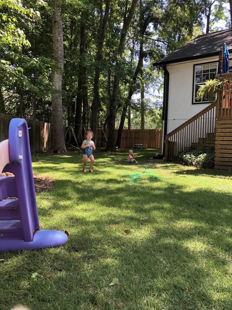 Top-rated yard maintenance for year-round maintenance in Tallahassee, FL by AAA Tree Experts