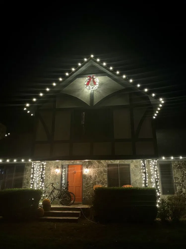 Professional outdoor landscaping in Tallahassee, FL by AAA Tree Experts