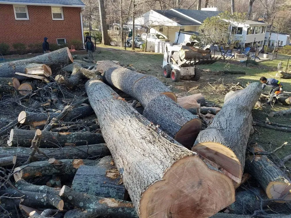 Top-rated landscape installation in Alexandria, VA by AAA Tree Service