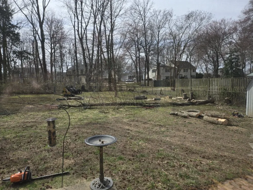 Reliable residential landscaping for outdoor upgrades across Alexandria, VA - AAA Tree Service