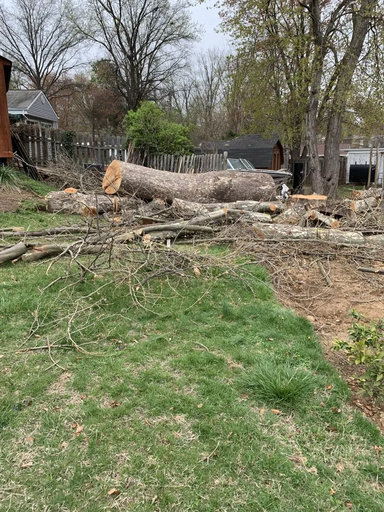 Custom landscaping services in Alexandria, VA by AAA Tree Service