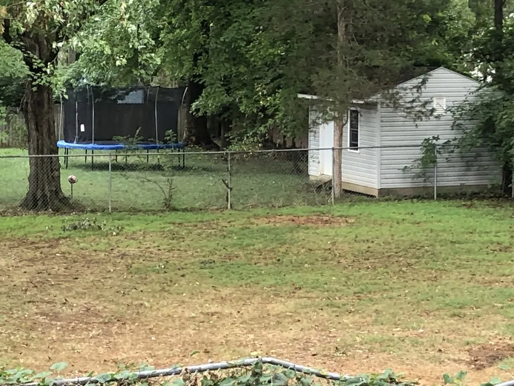 Expert lawn care service in Alexandria, VA - AAA Tree Service